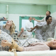 Image for article titled Hulu Is in Talks to Revive Community!
